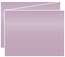 Violet Trifold Card 5 1/2 x 4 1/4 - 10/Pk