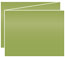 Fairway Trifold Card 5 1/2 x 4 1/4 - 10/Pk