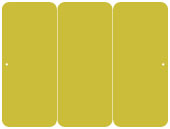 Panel Invitations 3 3/4 x 8 1/2