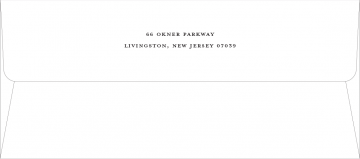 Thumbnail Image for #10 Envelope (4 1/8 x 9 1/2) + Printing - 25/PK title=