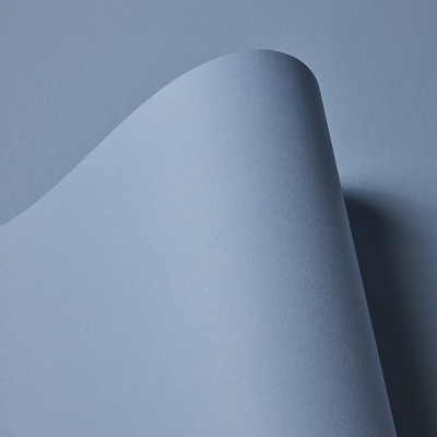 Thumbnail Image for Colorplan Text (8 1/2 x 11) - 50/pk