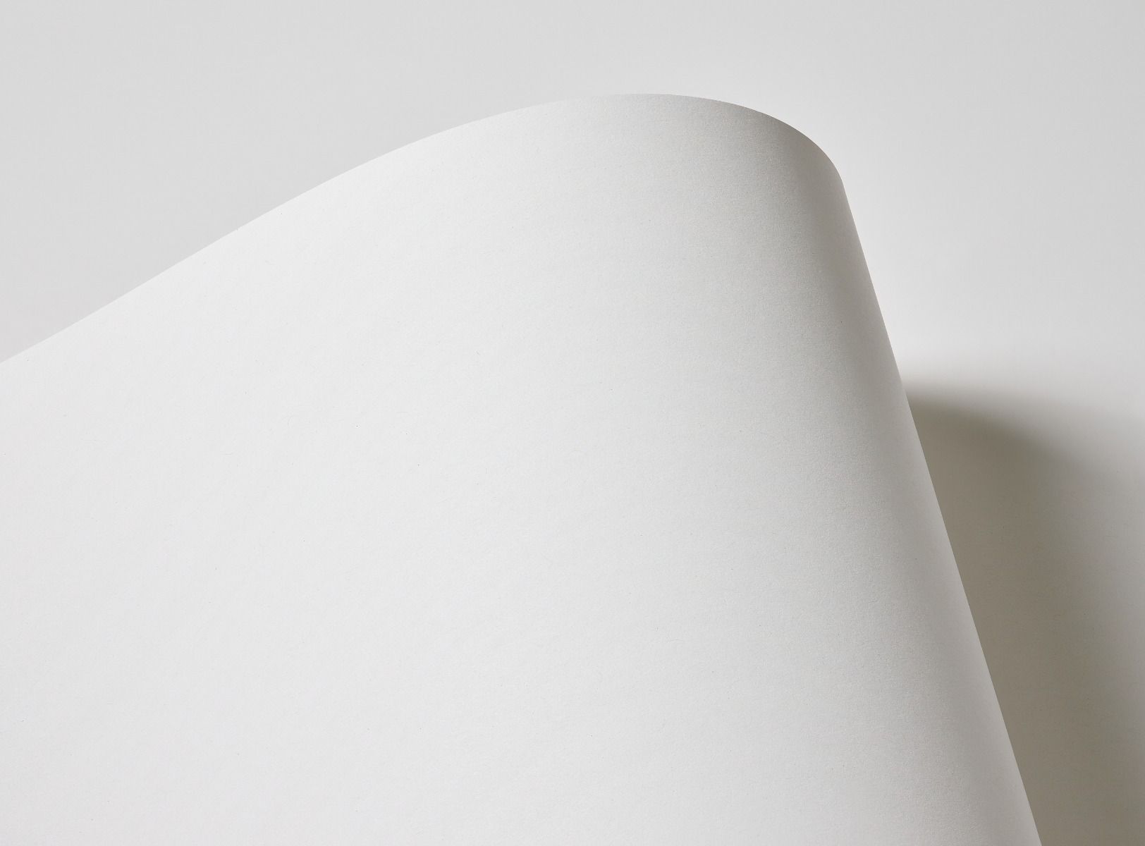 Thumbnail Image for Savoy Text (8 1/2 x 11) - 50/pk