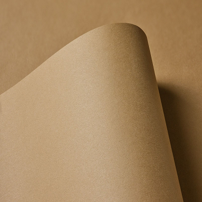 Thumbnail Image for Soho Text (8 1/2 x 11) - 50/pk