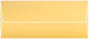 Stardream Gold #10 Envelope 4 1/8 x 9 1/2 - 50/pk On Sale