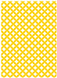 Petal Yellow Flat Card 5 1/4 x 7 1/4 - 25/Pk